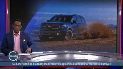 KIA oo dib ugu yeertay 427,000 oo baabuur ah