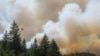 Study: Particles in Wildfire Smoke May Increase Dementia Risk