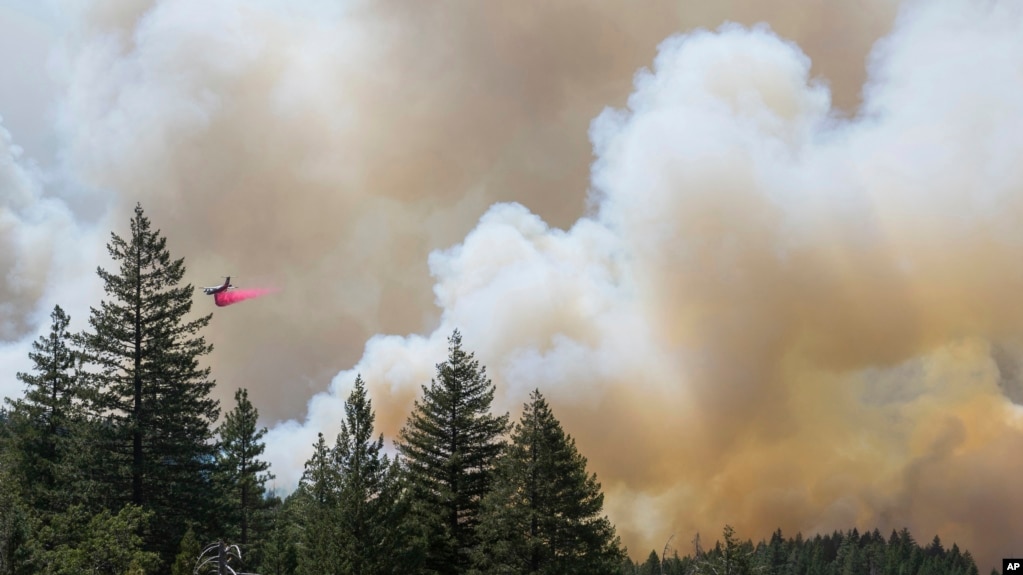 A plane ｄrops fire retardant on the Park Fire near Forest Ranch, Calif., Sunday, July 28, 2024. (AP Photo/Nic Coury)