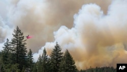 A plane drops fire retardant on the Park Fire near Forest Ranch, Calif., Sunday, July 28, 2024. (AP Photo/Nic Coury)