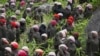 A view of Sentai Jizo, or 1000 stone statues, at &quot;Sessho Seki&quot; or &quot;Killing Stone,&quot; in Nasu, Tochigi Prefecture northern Japan.&nbsp;&nbsp;Sessho Seki is one of the most famous tourist attractions in the region.