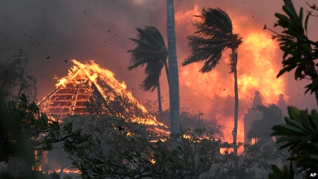 8 Ağustos 2023 - Hawaii adalarından Maui'de çıkan yangınlar 100'den fazla can aldı