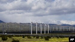 Wind turbines stand in fields near Palm Springs, Calif, March 22, 2023. Electricity generated from renewables surpassed coal in the United States for the first time in 2022, the U.S. Energy Information Administration reported.