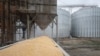 A load of corn is poured into a truck, at a grain storage facility in the village of Bilohiria, Khmelnytskyi region, Ukraine, April 19, 2023.