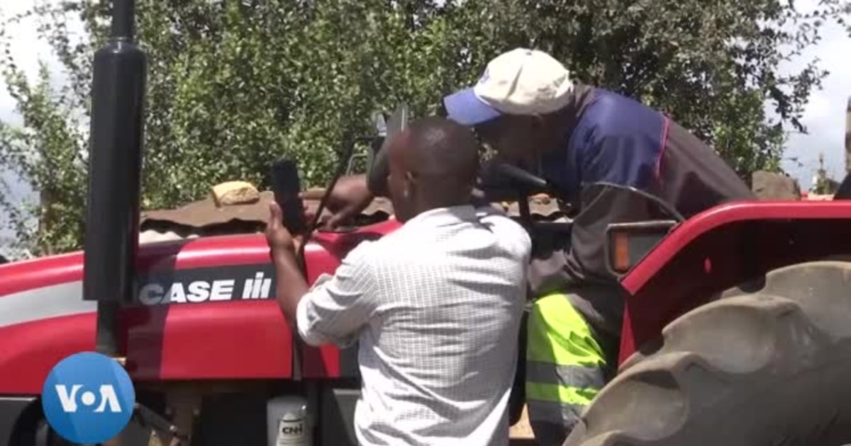 Kenya : une application aide les agriculteurs à augmenter leur rendement