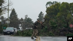 Un árbol derribado por fuertes vientos bloquea la calle Webster en Oakland, California, el martes 21 de marzo de 2023. (Foto AP/Godofredo A. Vásquez)