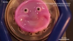 အရေပြားတုနဲ့ အပြုံးစစ်စစ်
