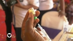 Saúde em Foco: o que há de novo na luta contra a Malária?