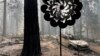 A property damaged by wildfire is seen in the aftermath of the Park Fire, in the Cohasset community of Butte County, California, July 28, 2024.