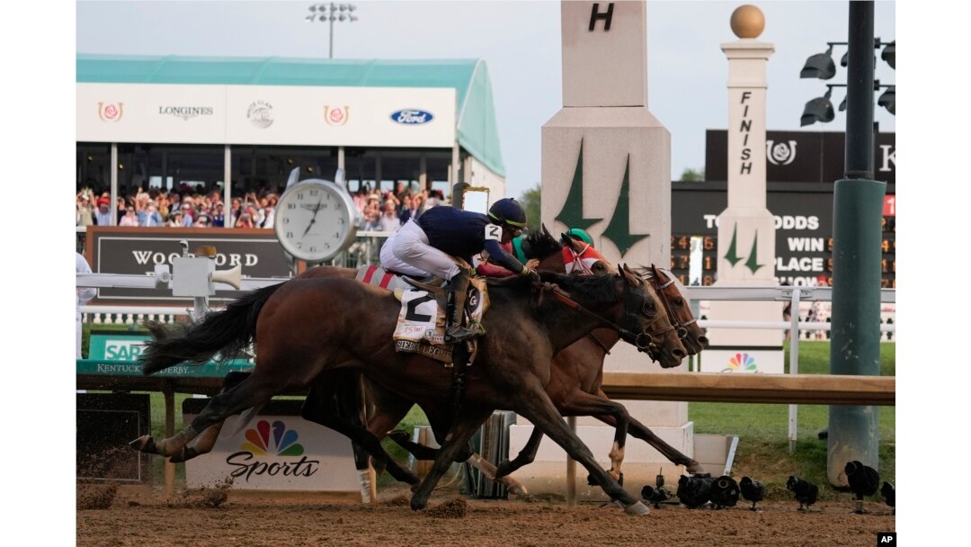 Sierra Leone with jockey Tyler Gaffalione (2), Forever Young with jockey Ryusei Sakai and Mystik Dan with jockey Brian Hernandez Jr., cross the finish line at Churchill Downs during the 150th Kentucky Derby horse race in Louisville, Kentucky, May 4, 2024.