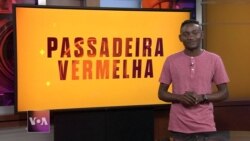 Passadeira Vermelha #173: O luxo no lixo