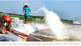 Vẫn cứ nuôi tôm giữa vùng nước ngọt [5] (Hình: TuoiTre.vn)