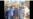 خاکسپاری آرمیتا گراوند در میان «تدابیر شدید امنیتی »؛ تعدادی از حاضران بازداشت شدند