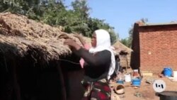 Malawi farmers reap rewards of ditching tobacco farming
