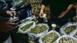 FILE - Seorang penjual memberikan uang kembalian kepada pelanggan ganja di pasar ganja di Los Angeles, 15 April 2019.