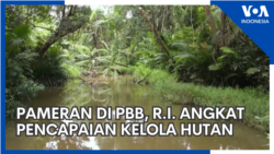 Pameran Indonesia di PBB Angkat “Pencapaian” Pengelolaan Hutan