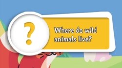 Apprenons l’anglais avec Anna, épisode 23: "Where do wild animals live?"