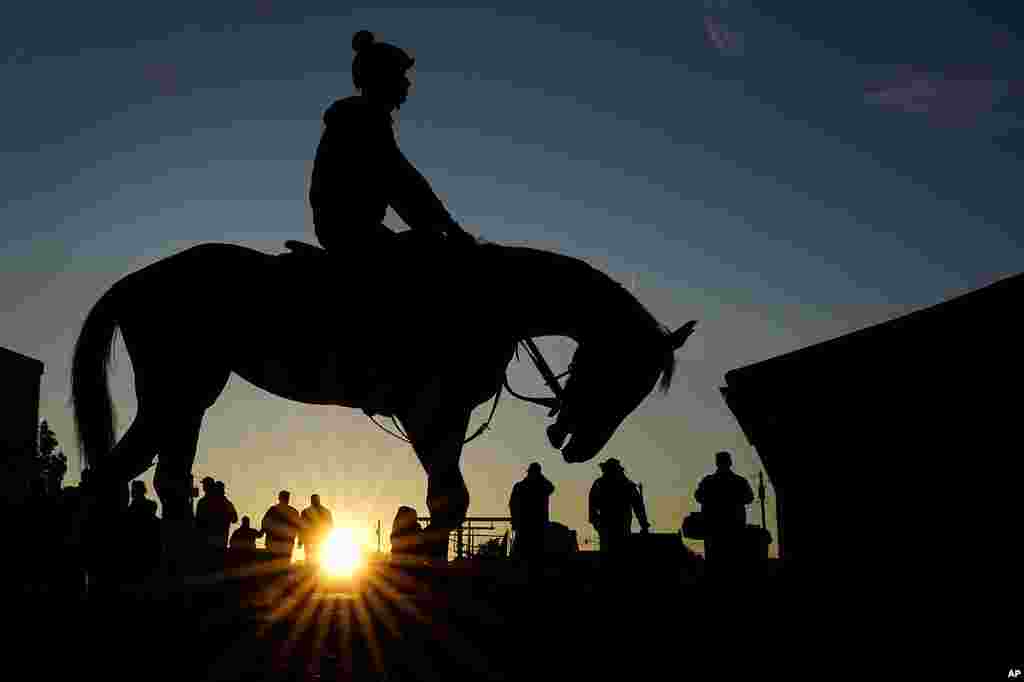 A horse comes off the track after a workout as the sun rises at Churchill Downs in Louisville, Kentucky. The 149th running of the Kentucky Derby is scheduled for May 6.