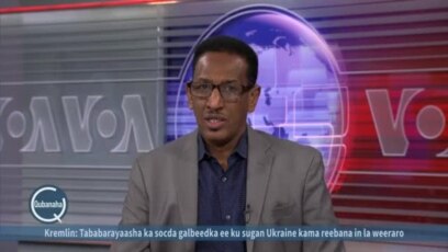 Xamza oo ku sugan Koonfur Kuuriya