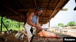 FILE - Bushmeat seller removes a spine from a brush-tailed porcupine at a market in Emure-ile, Ondo, Nigeria, Aug. 28, 2019. 