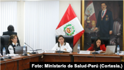 Ministra Rosa Gutiérrez en la Comisión de Salud del Congreso. Foto: Minsa.