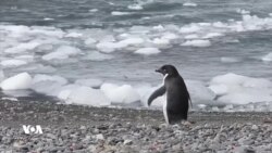 کاریگەری بەرزبوونەوەی پلەکانی گەرما لە دوورترین و چۆڵترین شوێنەکانی سەر زەوی دەردەکەوێت