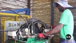 Namibian company turns invasive tree into building material
