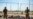 Death at US-Mexico Border, Shelter Rules Top Week's Immigration News
