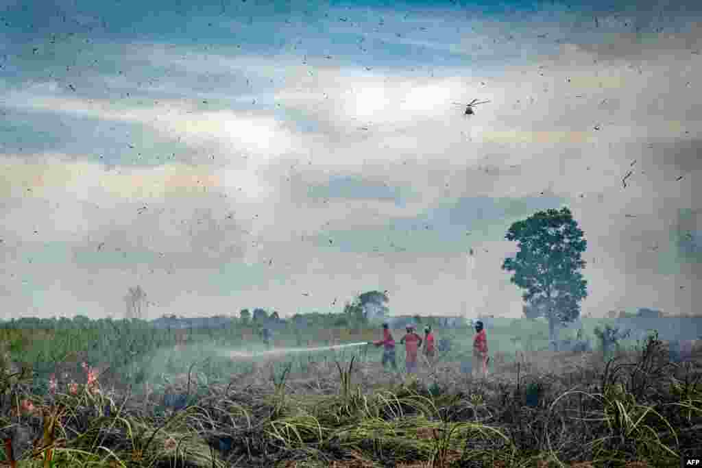 Para petugas pemadam kebakaran berupaya memadamkan kebakaran hutan di Ogan Ilir, Sumatera Selatan, pada 27 Agustus 2024. (Foto: Al Zulkifli/AFP)