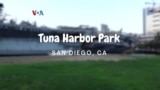 Jalan Yuk!: Tuna Harbor Park