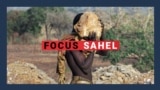 Focus Sahel, épisode 63 : l'orpaillage artisanal