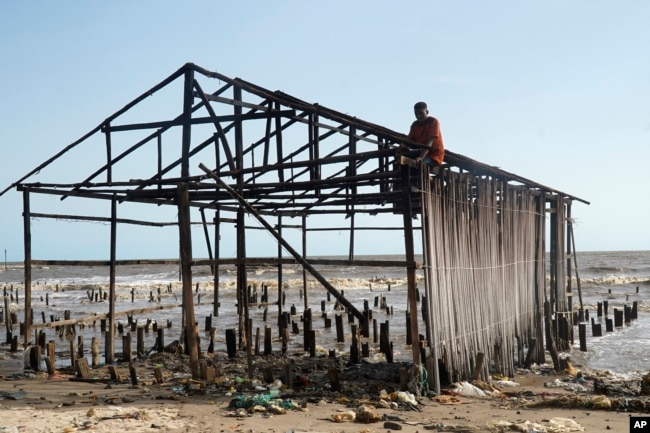 A man salvages wood from a damaged stilt house following a coastal erosion in Ayetoro, Southwest Nigeria, Friday, April 5, 2024. (AP Photo/Dan Ikpoyi)