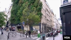 A vertical garden, which urban planners say Paris needs more of, grows in the French capital's 2nd arrondissement. (Lisa Bryant/VOA)