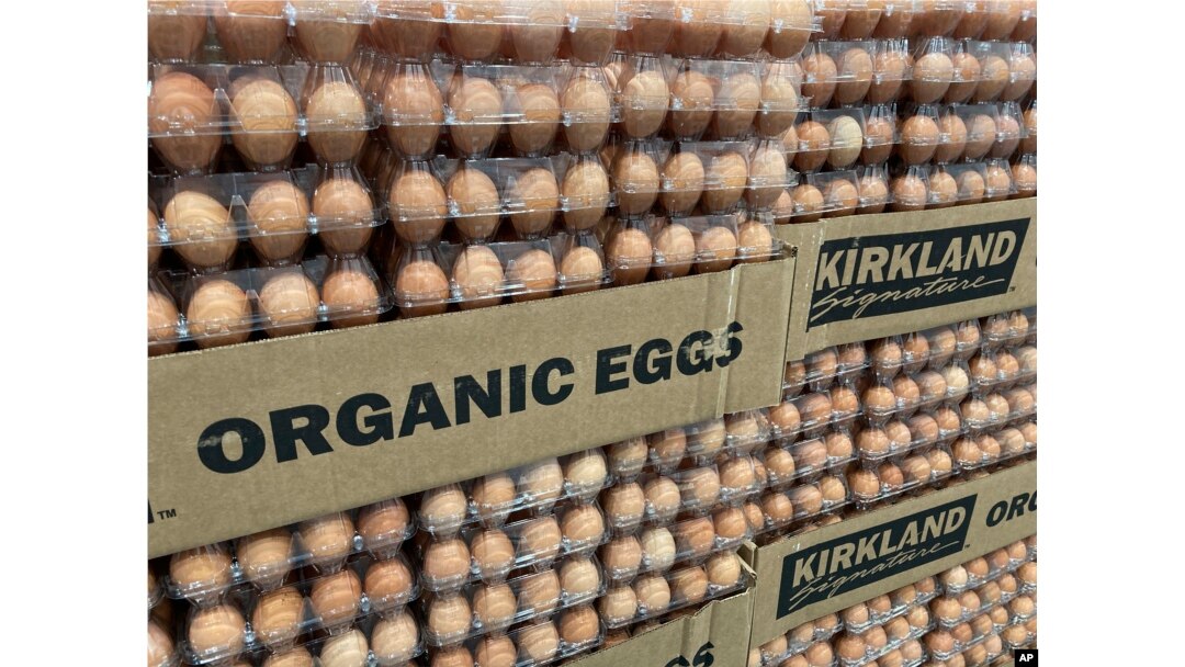 Telur siap jual di sebuah toko di North Miami, Florida, 17 Januari 2023. (AP/Wilfredo Lee)