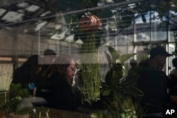 Associate professor Vered Mirmovitch and her biology class students visit a greenhouse on the West Los Angeles College campus in Culver City, Calif., Tuesday, March 12, 2024. (AP Photo/Jae C. Hong)