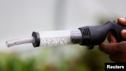 Water hyacinth eating bugs called Megamelus scutellaris are displayed inside a vacuum at the Grootvaly Blesbokspruit wetland reserve, near Springs, in the east of Johannesburg, South Africa, Feb. 15, 2023.