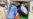 Sudan War Kills 12 More in Darfur Fighting, Doctor Says