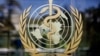 FILE - The logo of the World Health Organization is seen at the WHO headquarters in Geneva, Switzerland.