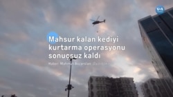 Mahsur Kalan Kediyi Kurtarma Operasyonu Sonuçsuz Kaldı 