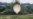 North Korea sends poop-filled balloons into South