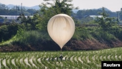 A balloon believed to have been sent by North Korea, carrying various objects including what appeared to be trash and excrement, is seen over a rice field at Cheorwon, South Korea, May 29, 2024. (Yonhap via Reuters)