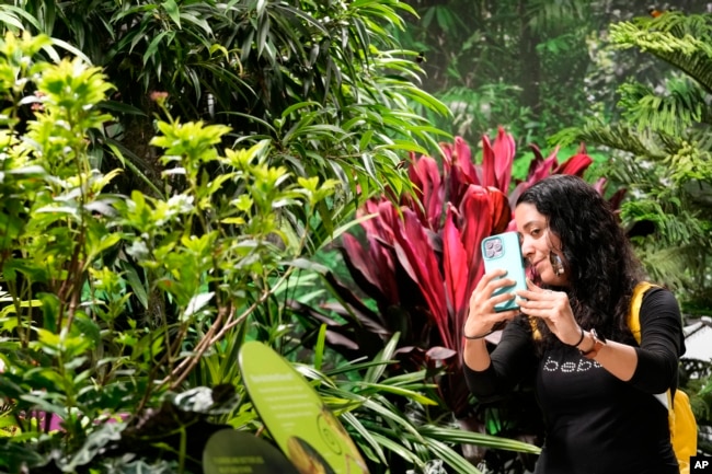 FILE - A visitor takes a selfie after a butterfly landed on her cheek at the Davis Family Butterfly Vivarium during a media preview of the Richard Gilder Center for Science, Education and Innovation, Wednesday, April 26, 2023, at the American Museum of Natural History in New York. The Gilder Center opens to the public May 4. (AP Photo/Mary Altaffer)