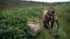 Idadi ya watu wanaolazimishwa kufanya kazi imeongezeka duniani: ILO