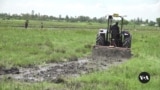 Smallholding farmers in Kenya hop on tractors, see profits rise