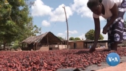 Oxfam: Chocolate Makers Reap Profits, But Not Cocoa Farmers