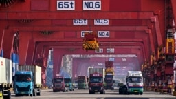 集装箱船正在中国山东省青岛港进行卸载。（2024年2月11日）