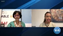 VOA Interview: Almaz Negash, US African Diaspora Council Member
