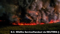Дим від цієї пожежі – результат запланованого займання. Так пожежники не дають вогню поширюватися. Лісова пожежа комплексу Донні-Крік на південь від Форт-Нельсона, Британська Колумбія, Канада, 3 червня 2023 року.