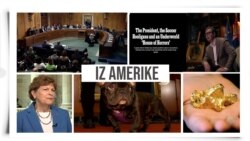 Iz Amerike 156 | Senat o Zapadnom Balkanu, pomenut i članak o Vučiću; Virdžinija i zlato; Najpopularnija rasa pasa u SAD