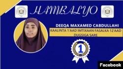 dusiga sare